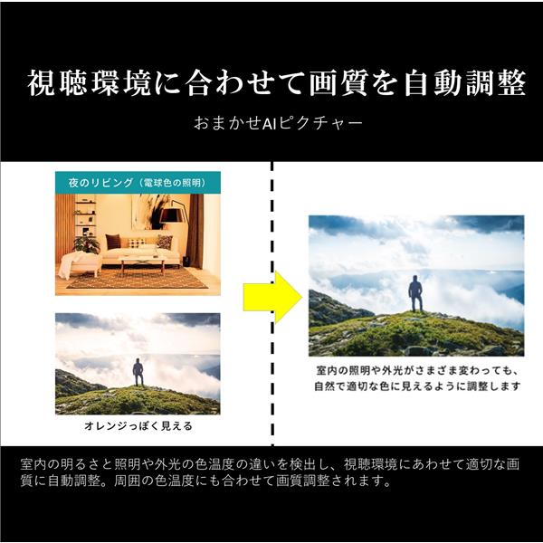 REGZA 4K液晶TV REGZA 55V型/Airplay対応/Wi-Fi対応/リファービッシュ