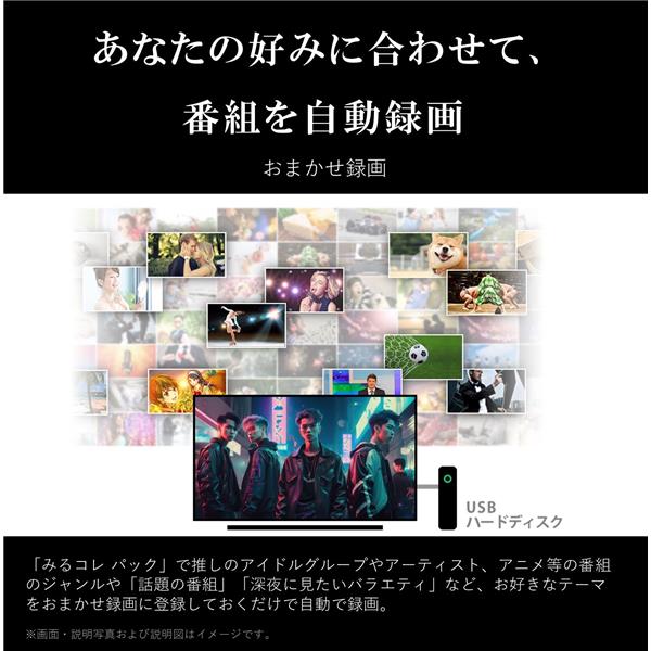 REGZA 4K液晶TV REGZA 65V型/Airplay対応/Wi-Fi対応/リファービッシュ