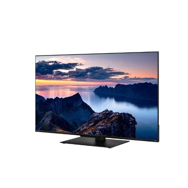 REGZA 4K液晶TV REGZA 43V型/倍速液晶/Airplay対応/リファー