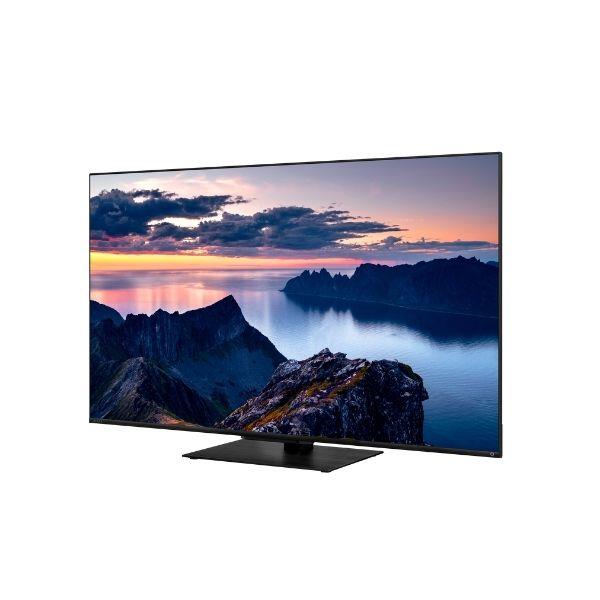 REGZA 50Z670N-R 4K液晶TV REGZA 50V型/倍速液晶/Airplay対応