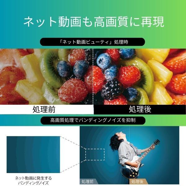 REGZA 4K液晶TV REGZA 65V型/倍速液晶/Airplay対応/リファービッシュ品