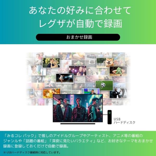 REGZA 4KMiniLED液晶TV REGZA 65V型/タイムシフトマシン機能搭載