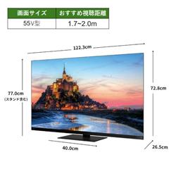 REGZA 55X9900R タイムシフトマシン4K有機EL REGZA 55型