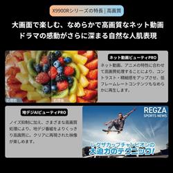 REGZA 4K有機ELテレビ REGZA 55V型/高輝度広色域/タイムシフトマシン