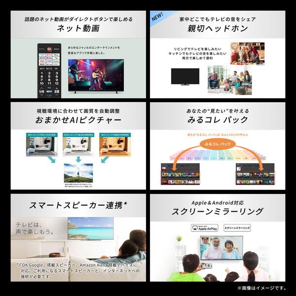 REGZA 4K液晶テレビ 65V型/AirPlay2対応 ☆大型配送対象商品 65M550R
