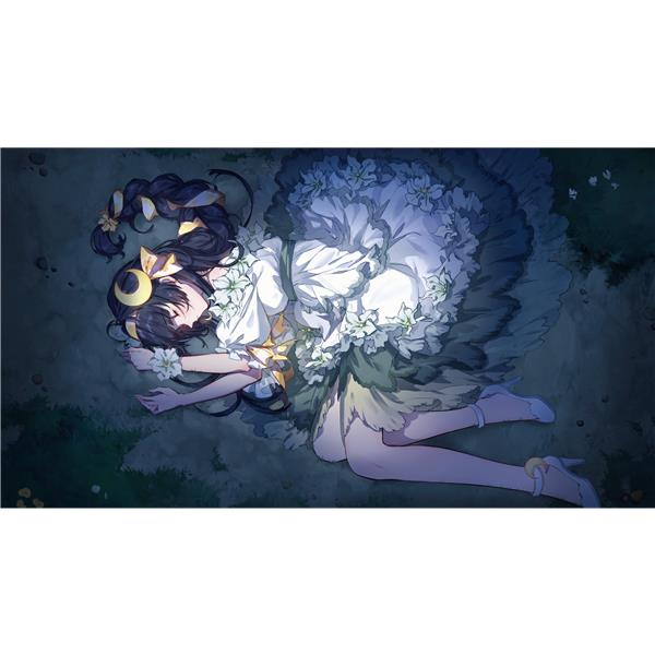 Switch】 夢灯華（むとうか） -Noctuary- 限定版 | ノジマオンライン