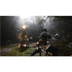 Amazon.co.jp: 黒神話：悟空 【永久同梱特典】DLCコード 同梱