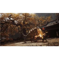 Game Science ELJM30616 黒神話：悟空【PS5】 |エディオン公式通販