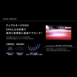 Brighte ELEKI BRUSH デンキブラシ[頭皮・顔・身体用/EMS/IPX6