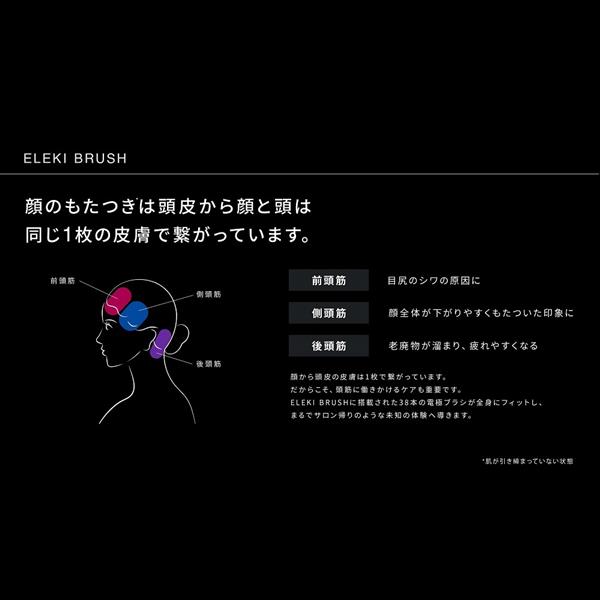 Brighte BRT-FS145 ELEKI BRUSH デンキブラシ[頭皮・顔・身体用