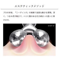 MTG PEC-L1706 プラチナ電子ローラー 「ReFa CARAT(リファ MTG PEC-L1706 プラチナ電子ローラー 「ReFa CARAT(リファ