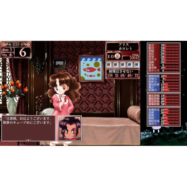 プリンセスメーカー2    PS2