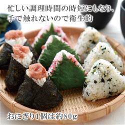 【送料無料ライン/39ショップ】 TOTSUBOSHI T-92150 ムスビート(ブル 簡単おにぎりキット&ケ-ス コスプレ衣装