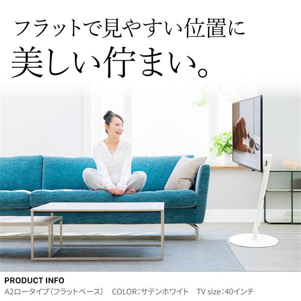 EQUALS 24～55V型対応WALL テレビスタンド A2フラットベース ロー