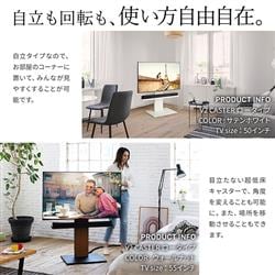 WALL V2 テレビスタンド ロータイプ サテンホワイト WALL INTERIOR TVSTAND V2 CASTER | グッドデザイン賞受賞・キャスター