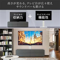 テレビ台 ICHIRO5131 EQUALS WLTVX5111 WALL【32～60型対応/テレビ台用スタンド