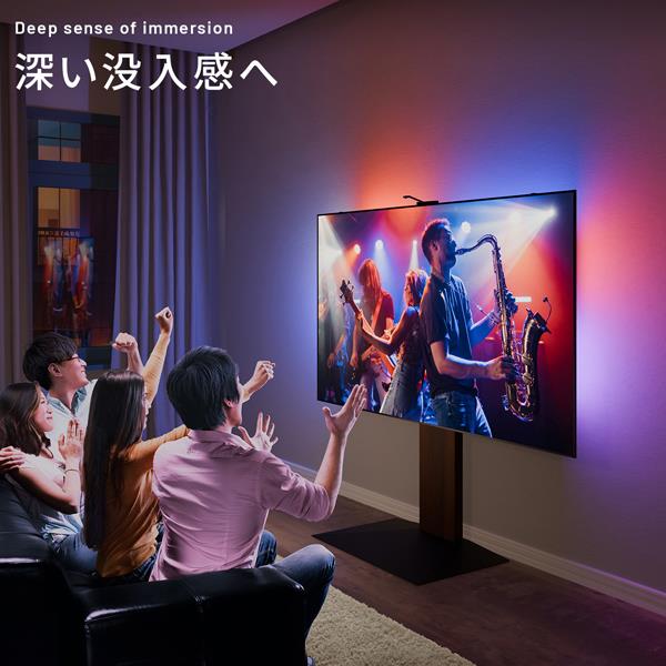 EQUALS シンクロビジュアルライトL (TVサイズ：65～70インチ用) H4C