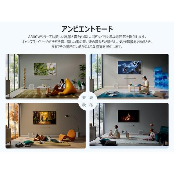 TCL 65V型NXTFRAME TV 液晶テレビ☆大型配送対象商品 65A300W | ノジマ