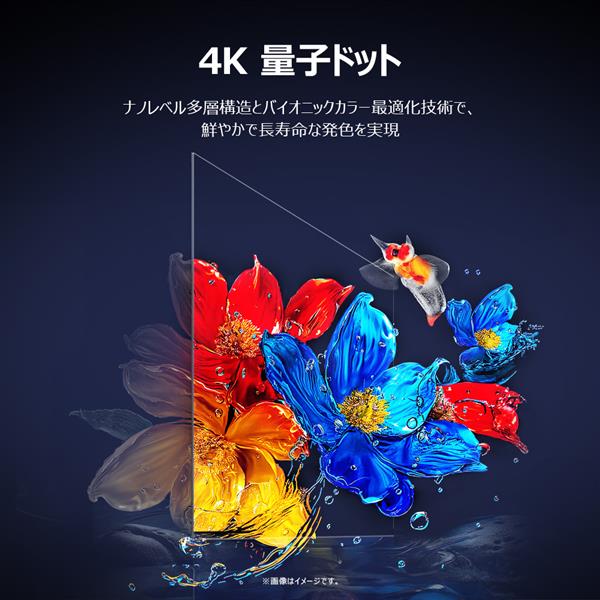 TCL 65V型QLED 4K液晶テレビ 量子ドット/GoogleTV/メタリック筐体
