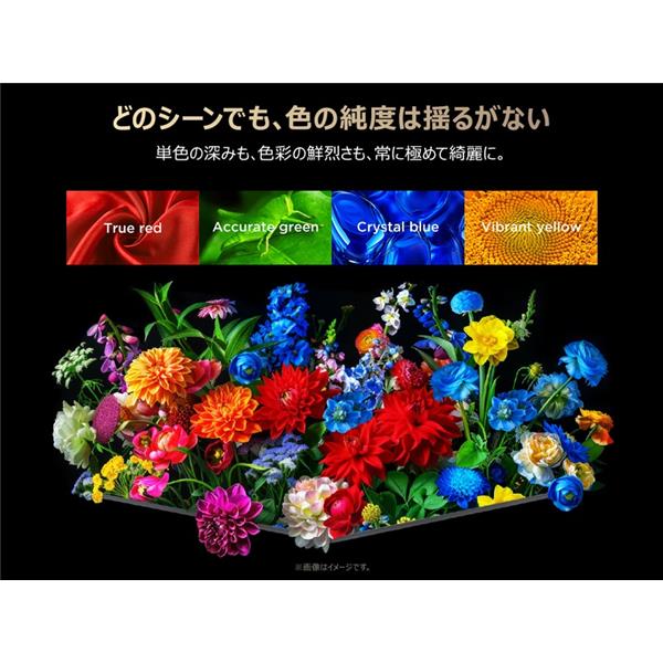 TCL SQD-MiniLED搭載 98型液晶テレビ ☆大型配送対象商品 98C8L