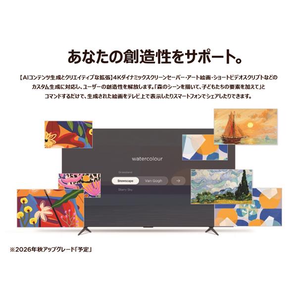 TCL QLED搭載 65型液晶テレビ ☆大型配送対象商品 65A400 | ノジマ