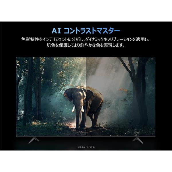 TCL QLED搭載 65型液晶テレビ ☆大型配送対象商品 65T6D | ノジマ
