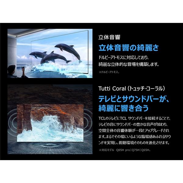 TCL QLED搭載 55型液晶テレビ 55T6D | ノジマオンライン