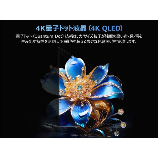 TCL QLED搭載 55型液晶テレビ 55T6D | ノジマオンライン