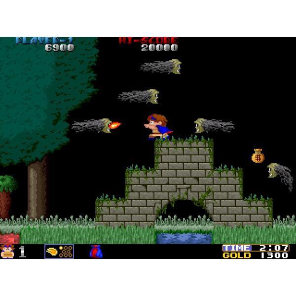 PS4】 飛翔鮫！鮫！鮫！ -TOAPLAN ARCADE GARAGE- | ノジマ