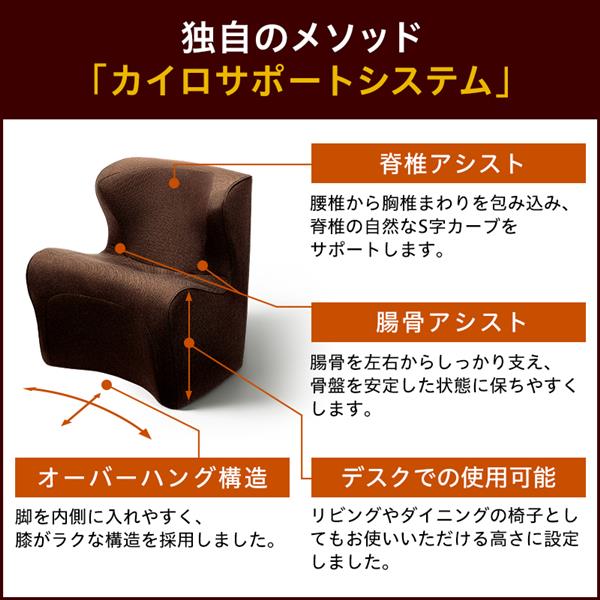 MTG Style Dr.CHAIR Plus [スタイル ドクターチェアープラス] ブルー