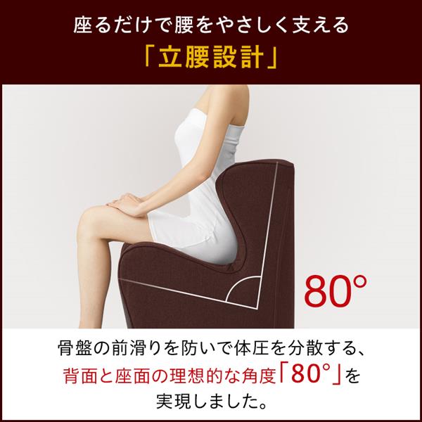 MTG BS-DP2244F-B Style Dr.CHAIR Plus [スタイル ドクターチェアープラス] ブラウン | ノジマオンライン