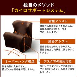 MTG BS-DP2244F-B Style Dr.CHAIR Plus [スタイル ドクターチェアープラス] ブラウン | ノジマオンライン