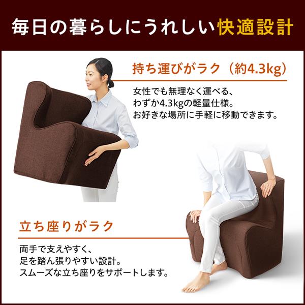 MTG BS-DP2244F-B Style Dr.CHAIR Plus [スタイル ドクターチェアープラス] ブラウン | ノジマオンライン