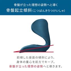 MTG Style SMART [スタイルスマート] ブラウン YS-AK08A | ノジマ