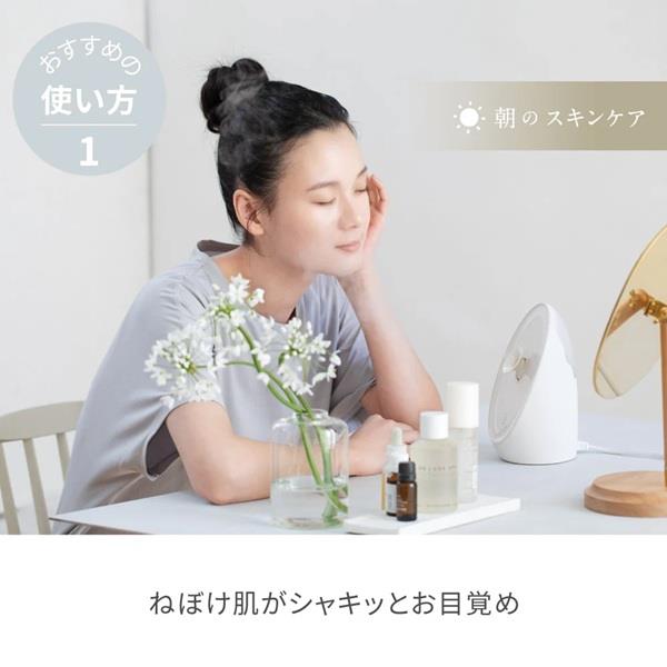 FESTINO フェイシャル アロマ ナノスチーマー ホワイト SMHB-043-WH