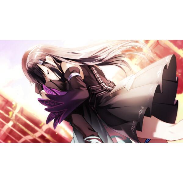 コトブキソリューション Hac P 5aa Switch アーキタイプ アーカディア ノジマオンライン