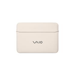 VAIO VJ9C02BW