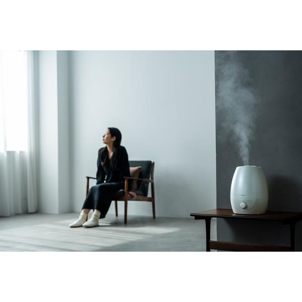 シロカ 5L加湿器 シルキーホワイト 超音波式 適用畳数最大10畳 5L SD