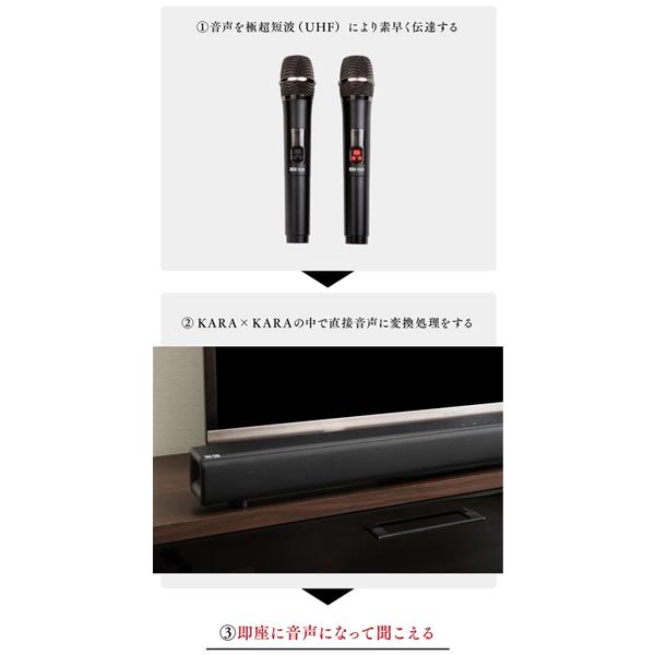 共同テレビジョン KARAA2023 カラオケサウンドバーKARAKARA 共同テレビジョン KARAA2023 カラオケサウンドバーKARAKARA
