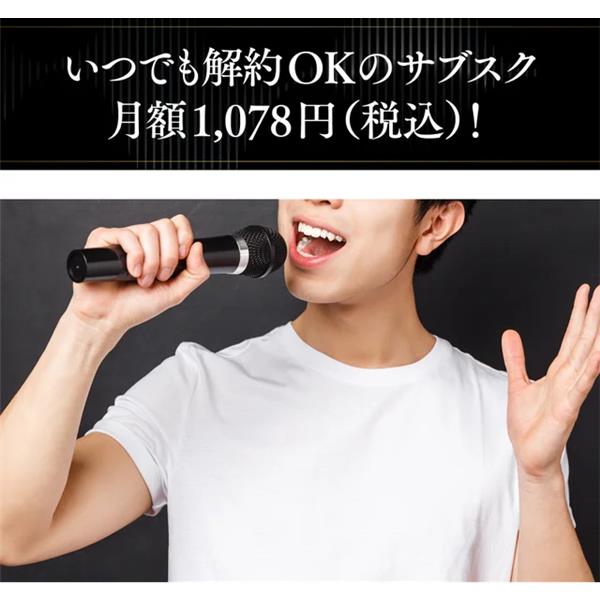 共同テレビジョン カラオケサウンドバーKARAKARA[android搭載/HDMI出力