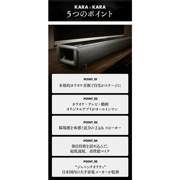 共同テレビジョン KARAA2023 カラオケサウンドバーKARAKARA 共同テレビジョン KARAA2023 カラオケサウンドバーKARAKARA