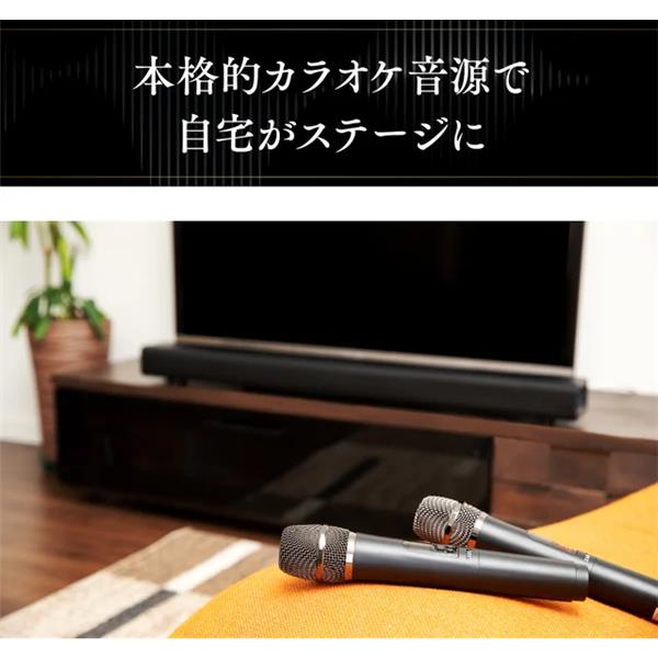共同テレビジョン KARAA2023 カラオケサウンドバーKARAKARA 共同テレビジョン KARAA2023 カラオケサウンドバーKARAKARA