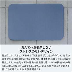 スマートバスマット issin株式会社 SBM22U01LJ 体重計 楽天市場】【体重計モデル】 issin スマートバスマット 公式店30