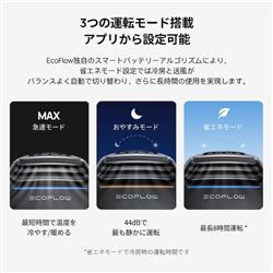 EcoFlow Wave 2 ポータブルエアコン 　ZYDKT210-JP 楽天市場】ECOFLOW Wave 2 ポータブルエアコン ZYDKT210-JPの通販