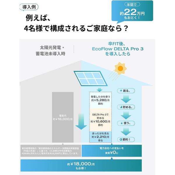EcoFlow EcoFlow DELTA Pro 3 EFDELTAPRO3-JP | ノジマオンライン