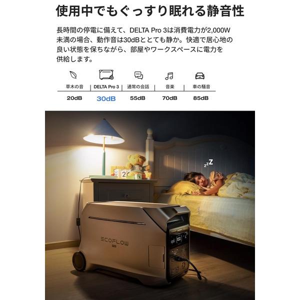 EcoFlow EcoFlow DELTA Pro 3 EFDELTAPRO3-JP | ノジマオンライン