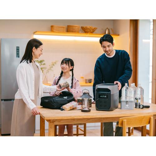 EcoFlow EcoFlow DELTA 3 Max EFD3M-G-JP-CBOX | ノジマオンライン