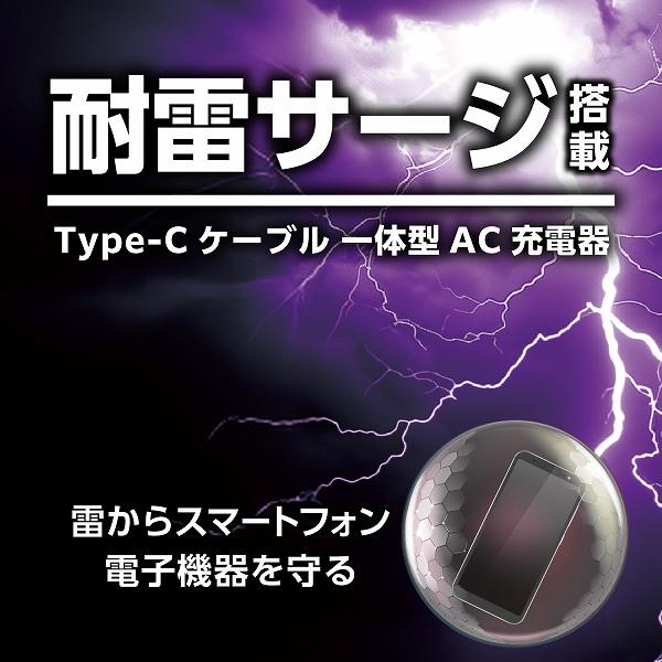 ELPA CHCR-SP20BK 耐雷USB充電器/PD20W/2m/ブラック | ノジマ