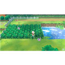 Nintendo HAC-R-ADW3A 【梱包B級品】【Switch】 ポケットモンスター 