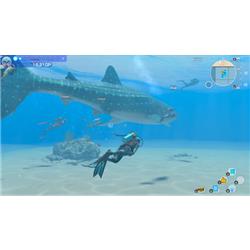 Nintendo Switch - 海音 Amazon.co.jp: フォーエバーブルー ルミナス ペアダイビング